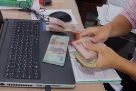 Ảnh minh họa. (Nguồn: TTXVN)