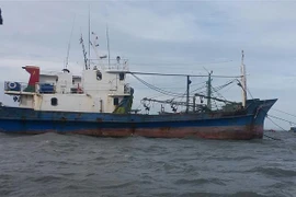 “Tàu 67” của ông Phạm Ngọc Hoàng, phường 3, thành phố Vũng Tàu đã nằm bờ gần 1 năm nay do tàu bị rỉ sét, máy tàu nhỏ không thể tải nổi thân tàu. (Ảnh: Hoàng Nhị/TTXVN)