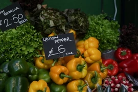 Ảnh minh họa. (Nguồn: AFP/TTXVN)