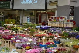 Ảnh minh họa. (Nguồn: floraldaily.com)