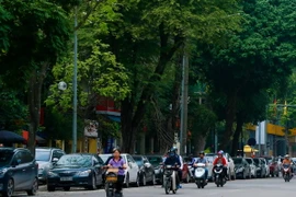 (Ảnh minh họa: Trọng Đạt/TTXVN)