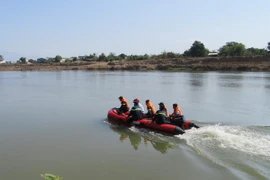 (Ảnh minh họa: Nguyễn Thành/ TTXVN)