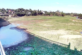 (Ảnh chỉ có tính minh họa: Hồ Cầu/TTXVN)