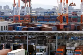 Bốc dỡ container hàng hóa tại cảng Tokyo, Nhật Bản ngày 25/1. (Nguồn: EPA/TTXVN)