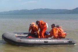 Ảnh chỉ có tính minh họa. (Nguồn: EPA/ TTXVN)