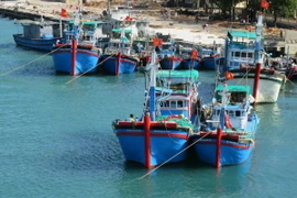 (Ảnh minh họa: Nguyễn Thành/TTXVN)