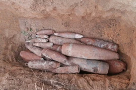 (Ảnh minh họa: TTXVN phát)