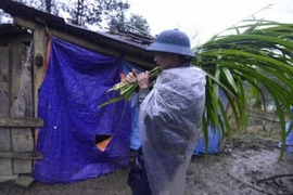 (Ảnh minh họa: Thế Duyệt/TTXVN)