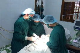 (Ảnh minh họa: Nguyễn Đức Quân/TTXVN phát)