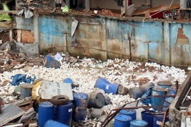 (Ảnh minh họa: Mạnh Linh/TTXVN)