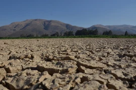 Hồ La Angostura, cách Cochabamba, miền trung Bolivia khoảng 14km bị cạn khô nước do nắng nóng kéo dài. (Nguồn: AFP/TTXVN)