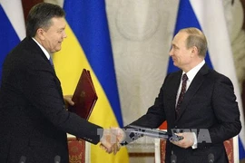 Nga ưu đãi cho Ukraine sau cuộc gặp giữa Tổng thống Vladimir Putin với người đồng nhiệm Ukraine Viktor Yanukovych (Nguồn: AFP/TTXVN)