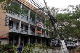 Hậu quả của bão số 14. (Ảnh: Xuân Tùng/TTXVN)