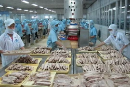 Chế biến cá ngừ đóng hộp tại Công ty KTC Food Kiên Giang. (Ảnh: Phương Vy/TTXVN)