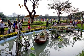 Hội chợ hoa Xuân Phú Mỹ Hưng Tết Bính Thân 2016.