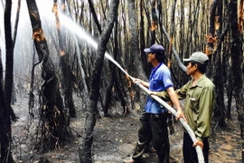 Ảnh chỉ có tính minh họa. (Ảnh: Công Mạo/TTXVN)