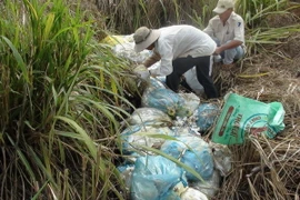 Ảnh chỉ có tính minh họa. (Ảnh: Đậu Tất Thành/TTXVN)