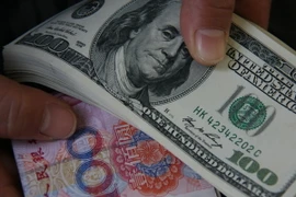 Ảnh chỉ có tính minh họa. (Nguồn: THX/TTXVN)