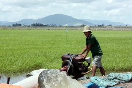 Ảnh chỉ có tính minh họa. (Ảnh: Lê Sen/TTXVN)