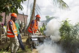 Quân đội Cộng hòa Dominica phun thuốc chống muỗi tại Santo Domingo sau khi nước này xác nhận có đã có 10 ca nhiễm Zika trong thời gian qua. (Nguồn: AFP/TTXVN)