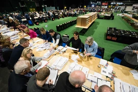 Các nhân viên bầu cử kiểm phiếu tại Dublin. (Nguồn: AFP/TTXVN)