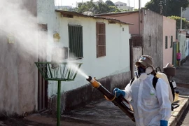Nhân viên y tế Brazil phun thuốc khử trùng nhằm ngăn chặn sự lây lan của virus Zika. (Nguồn: AFP/TTXVN)