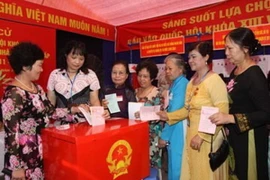 Ảnh chỉ có tính minh họa. (Nguồn: hochiminhcity.gov.vn)