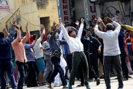 Cuộc biểu tình của cộng đồng người Jat. (Nguồn: BBC)