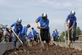Các thanh niên tình nguyện tham gia trồng cây tại huyện Năm Căn (Cà Mau). (Ảnh: Huỳnh Thế Anh/TTXVN)