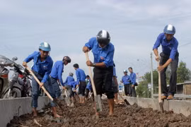 Các thanh niên tình nguyện tham gia trồng cây tại huyện Năm Căn (Cà Mau). (Ảnh: Huỳnh Thế Anh/TTXVN)