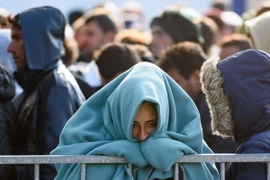 Người di cư và tị nạn tại biên giới Slovenia-Áo. (Nguồn: AFP/TTXVN)
