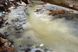 Kiểm tra, xử lý các dự án sử dụng đất thực hiện chậm tiến độ. (Ảnh minh họa. Nguồn: Hùng Võ/Vietnam+)