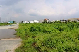 Ảnh chỉ có tính minh họa. (Nguồn: TTXVN) 