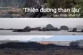 "Thiên đường than lậu" tại khu vực km6, phường Quang Hanh, thành phố Cẩm Phả. (Ảnh: P.V/Vietnam+)