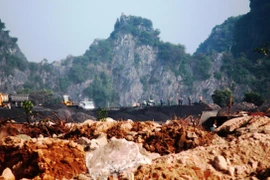 Ảnh minh họa. (Nguồn: Hùng Võ/Vietnam+) 