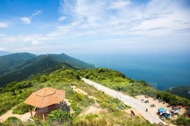 Một góc bán đảo Sơn Trà nhìn từ trên cao. (Ảnh minh họa. Nguồn: TTXVN)