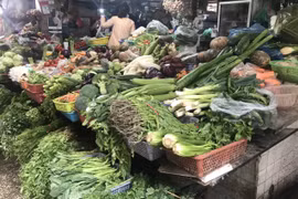 Ghi nhận tại các chợ truyền thống trên địa bàn thành phố Hà Nội, giá các loại rau xanh không có nhiều biến động và tiếp tục duy trì ở mức cao so với cùng kỳ tháng 3/2022. (Ảnh: Việt Anh/Vietnam+)