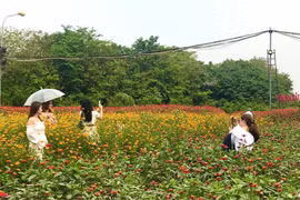 Không cần phải di chuyển quá xa, các gia đình có thể trải nghiệm những điểm vui chơi hấp dẫn ngay trong phạm vi thành phố Hà Nội. (Ảnh: Việt Anh/Vietnam+)