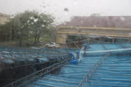 Mái che sân tập thể dục, quốc phòng của một trường học tại thành phố Nha Trang bị sập. (Ảnh: Phan Sáu/TTXVN)