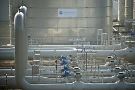 Ảnh minh họa. (Nguồn: AFP/TTXVN)