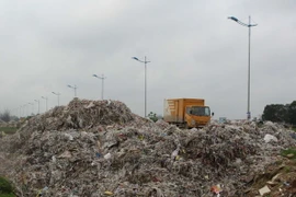 (Ảnh minh họa: Trịnh Duy Hưng/TTXVN)