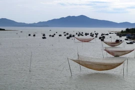 Biển Cửa Đại bị bồi lấp sau lũ khiến nhiều tàu thuyền không thể ra khơi. (Ảnh: Đỗ Trưởng/TTXVN)