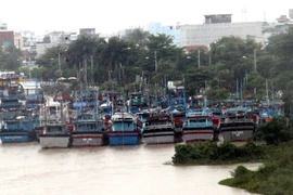 (Ảnh minh họa: Thế Lập/TTXVN)