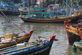 Tàu được chằng buộc neo đậu trên sông Cà Ty- Phan Thiết. (Ảnh: Nguyễn Thanh/TTXVN)