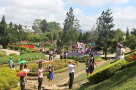 Du khách vui chơi tại vườn hoa thành phố Đà Lạt. (Ảnh: Phạm Kha/TTXVN)
