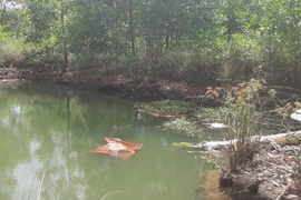 Hiện trường vụ đuối nước. (Ảnh: K GỬIH/TTXVN)