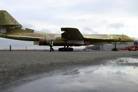 (Nguồn:.sputniknews.com)