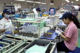 (Ảnh minh họa: Thành Vũ/TTXVN)