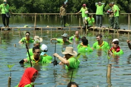 Các đại biểu tham gia trồng cây tại rừng ngập mặn Nam Jakarta, Indonesia. (Ảnh Đỗ Quyên/Vietnam+)
