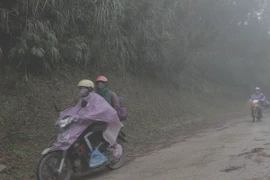 (Ảnh minh họa: Văn Dũng/TTXVN)